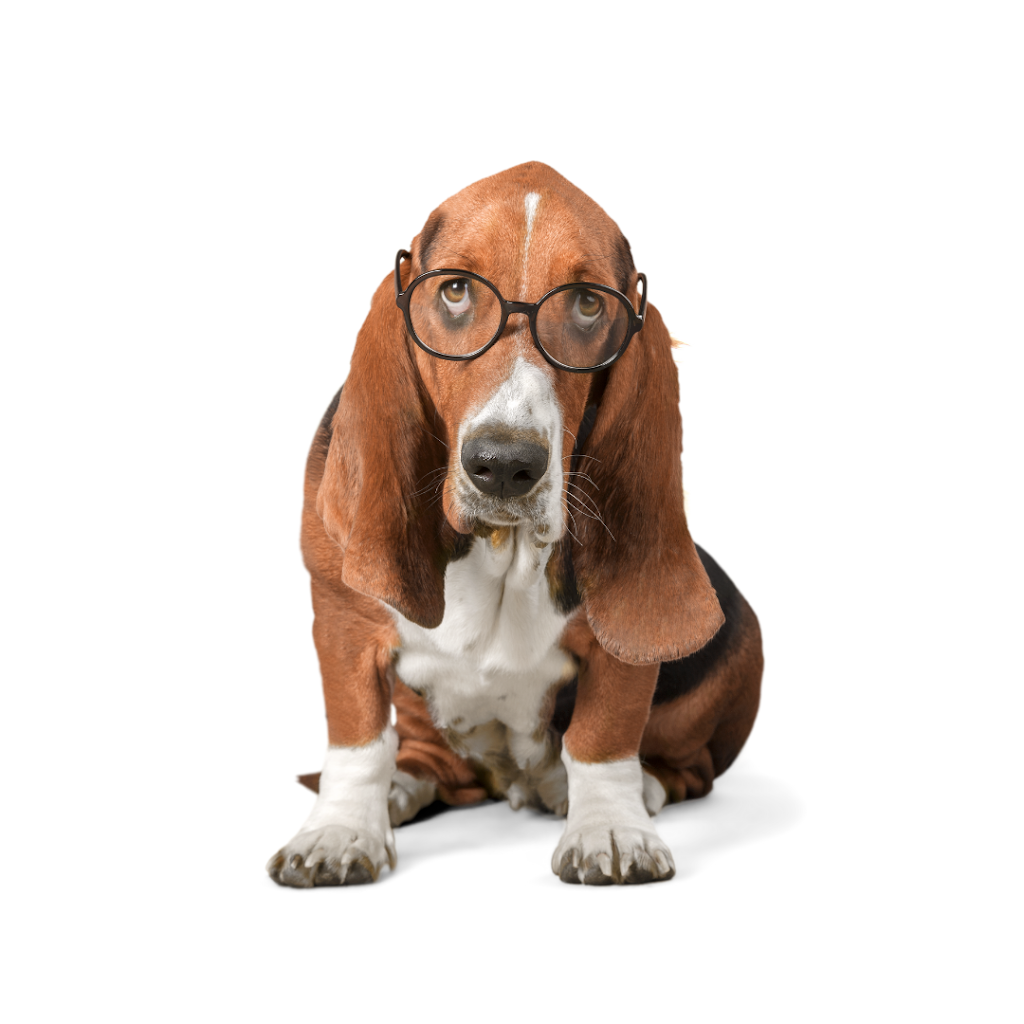 etología canina
