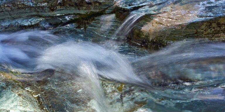Flores de Bach para los que se preocupan en exceso por los demás
